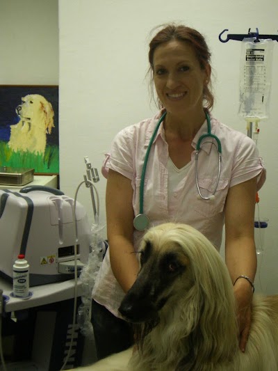 veterinary-care