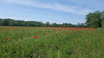 La ferme du Pas de Vaches à Sérézin-de-la-Tour