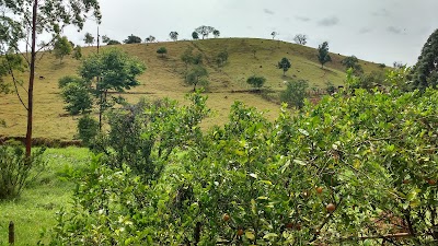 Photos of Pousada Pl&aacute;tanos