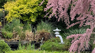 Photo n°1 de Navon Michel à Gif-sur-Yvette (Ostéopathe)
