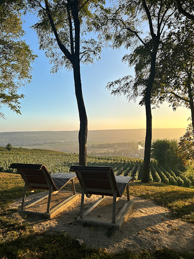Beauté Champagne