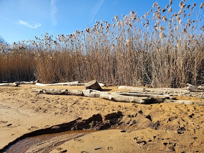 Sandy Point State Park Youth Group Camp Ground