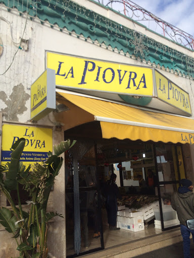 La Piovra - Visual