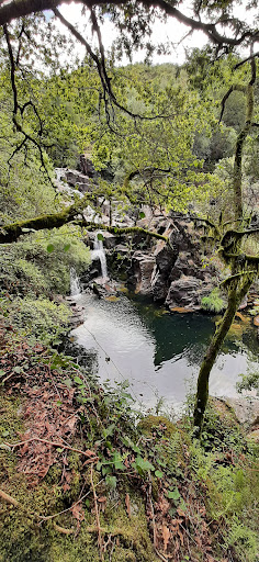 Part of nature - Thumbnail