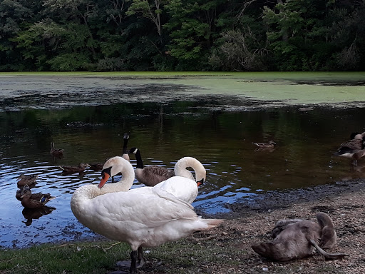 Millers Pond County Park - Thumbnail