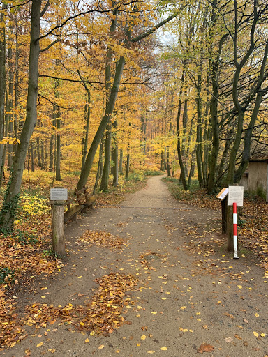 Naturfriedhof Mühltal - Thumbnail