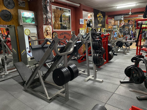 The Santa Monica Gym Mecca