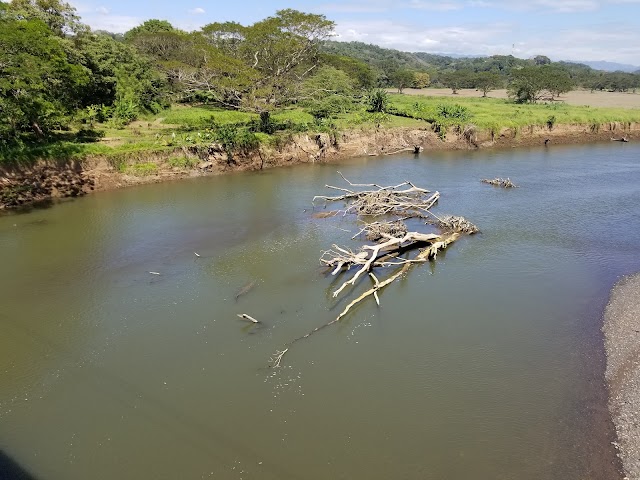Tarcoles Crocodile Bridge
