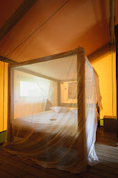 Photo n°24 de Rives Nature - Cottages & Camping La Gacilly à Sixt-sur-Aff (Séminaire)