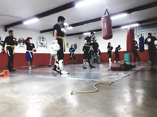 The Black Warriors