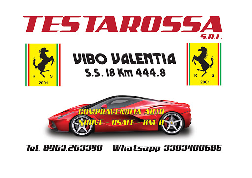 Testarossa S.R.L. - Visual