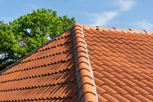 Le démoussage de toiture : indispensable pour les maisons de Saint-Maur-des-Fossés

La mousse et les lichens...