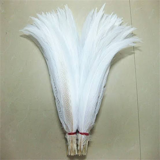 FEATHERS F.T