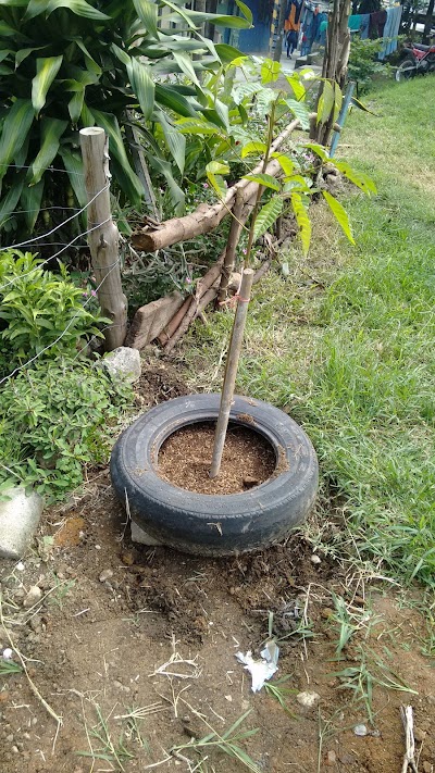 Photos of Cancha de Barrio Caribe