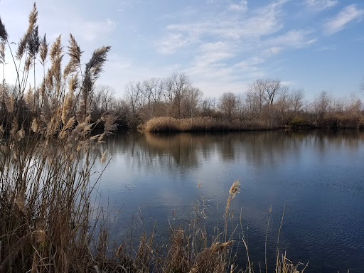 St. Ellen Park - Visual