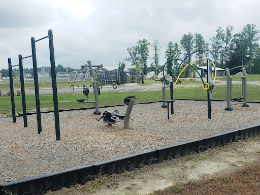 Pine Fork Park - Visual