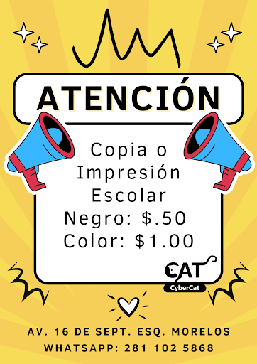 CyberCat - Visual