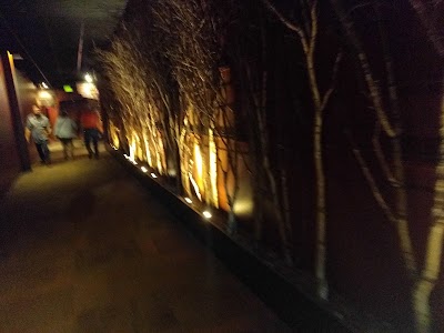 Photos of AMC Madison 6