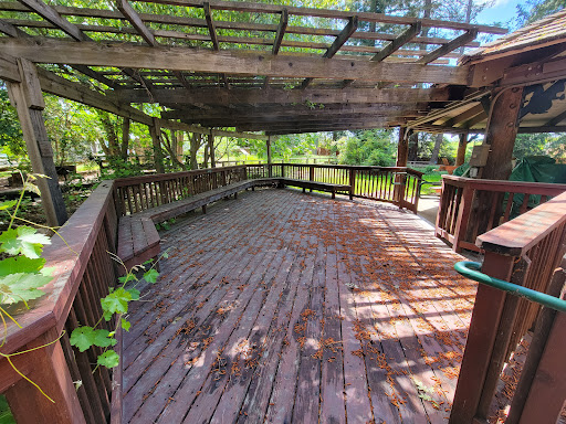 California Forest Center