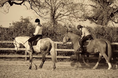 Photos of Clonfert Maynooth Equestrian Centre