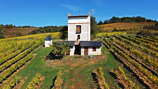 Valdecontina Viñedos y Bodega