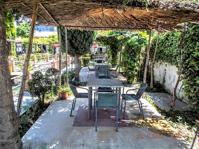 Photos of Hotel Sirena