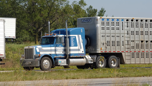 Bullseye Dispatch Inc Gallery - United States