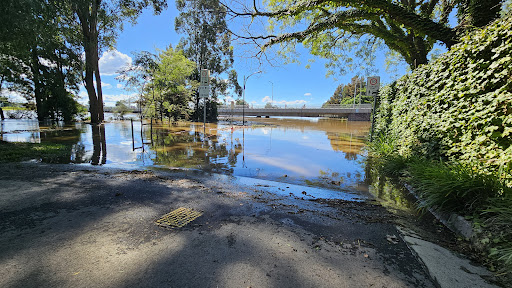 Windsor Bridge