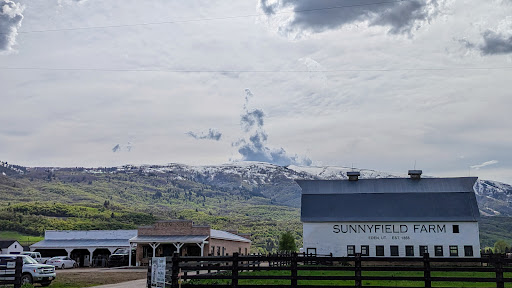 Sunnyfield Meats - Thumbnail