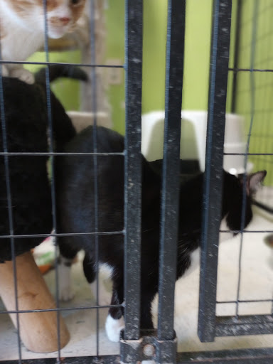 Panora PETS Gallery - United States