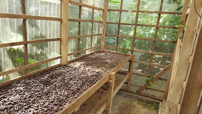 Photos of Don Olivo Chocolate Tour