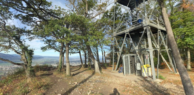 Rezensionen über Bärgbeiz Gempenturm in Muttenz - Restaurant