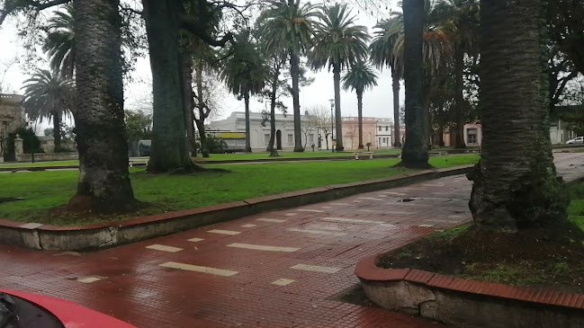 Opiniones de Monumento A Artigas en Artigas - Museo