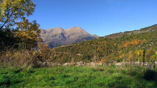 Gramanet - Visual