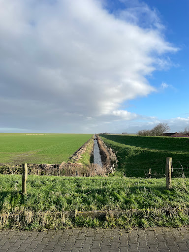 Westerdeich - Visual