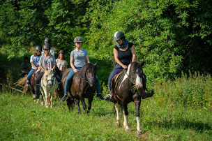 Photo n°17 de Au Fer A Cheval : Ferme pédagogique, centre loisirs, gîte groupe-Tarn Languedoc Roussillon Occitanie à Paulinet (Centre de loisirs)
