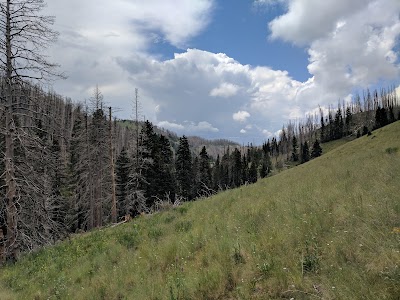 William G. Telfer Natural Area