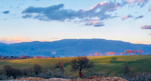 Tenuta Mondi i Colli