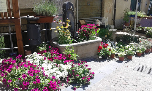 Bar Gastaldi Renata - Thumbnail