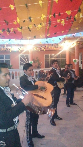Mariachi Gallos de America