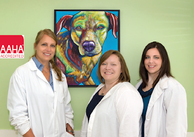 Photos of Brandermill Animal Hospital