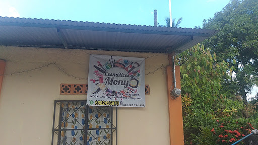 Cosmeticos y bolsas MONI