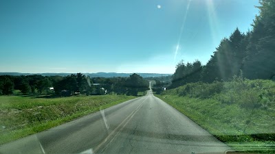 Photos of Mt. Hope Auction