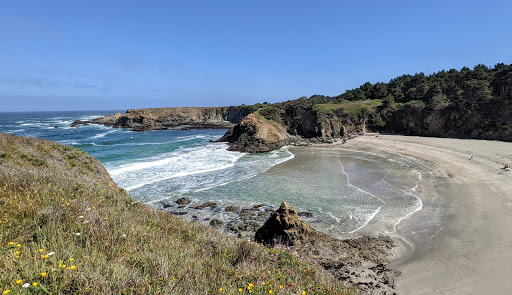 Jug Handle Beach