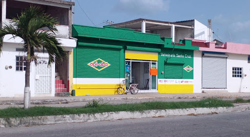 Veterinaria Santa Cruz - Suc Champoton