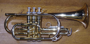 Photo n°3 de Plecety Jean Michel à Bourg-Achard (Magasin d'instruments de musique)