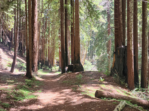 Fall Creek Unit Gallery - United States