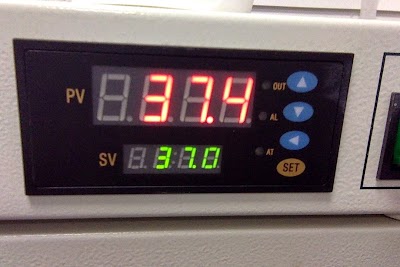 Photos of Cellulose Medical Laboratory