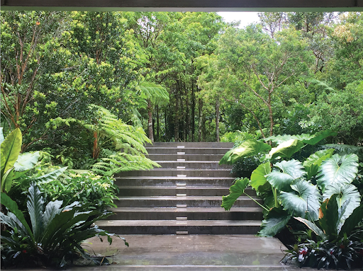 Vaccarino Associates