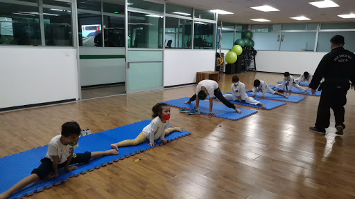 Mujeog Taekwondo Coatepec - Thumbnail